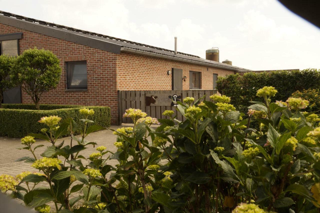 Kampenhof Villa Maaseik Exterior photo